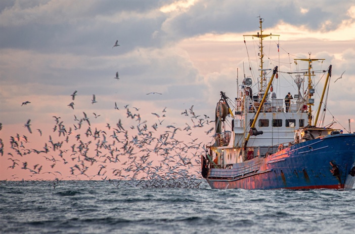 Minister publishes appeal decisions in hake deep-sea trawl sector