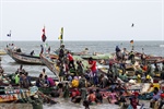 Report offers guide to address IUU