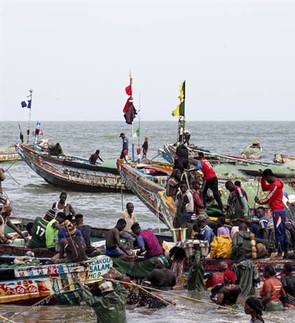 Report offers guide to address IUU