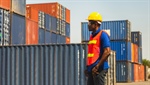 Cracking down on unregistered dockworkers