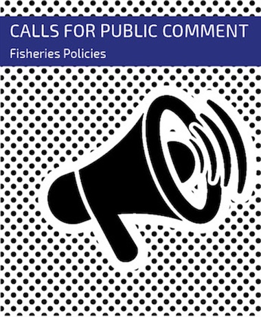 Call for Comments – fishing policies