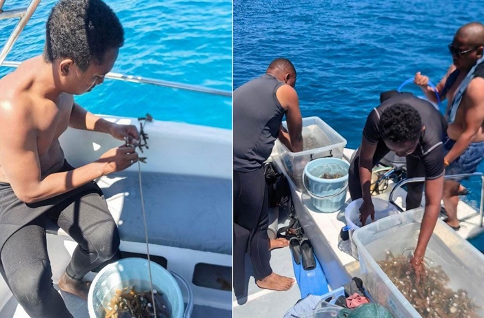 Efforts to restore coral reef boosted