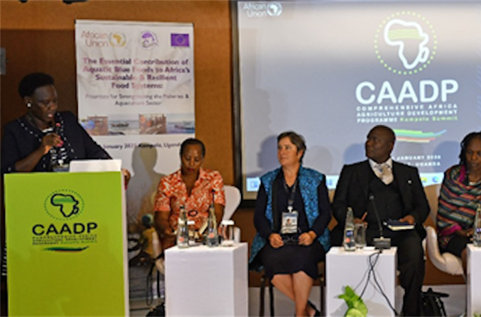 Fisheries included in Africa’s agriculture 10-year action plan