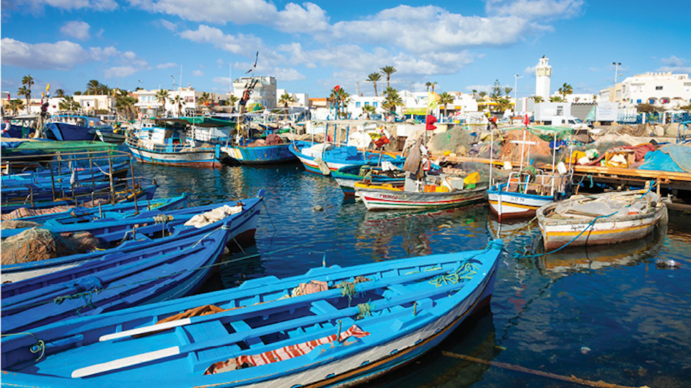 Tunisia vows to protect fisheries through stronger governance