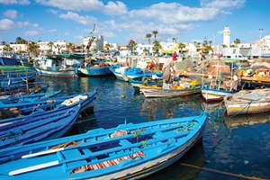 Tunisia vows to protect fisheries through stronger governance