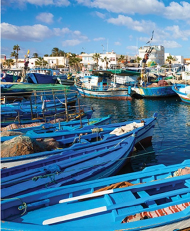 Tunisia vows to protect fisheries through stronger governance