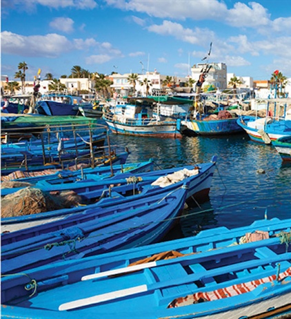 Tunisia vows to protect fisheries through stronger governance