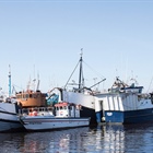 Allocation for small-scale fishers increased