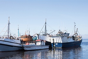 Allocation for small-scale fishers increased