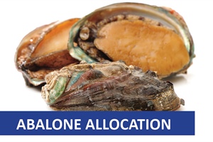 Eastern Cape abalone to be allocated to small-scale fishers