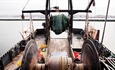 Addressing the ongoing fishing crisis