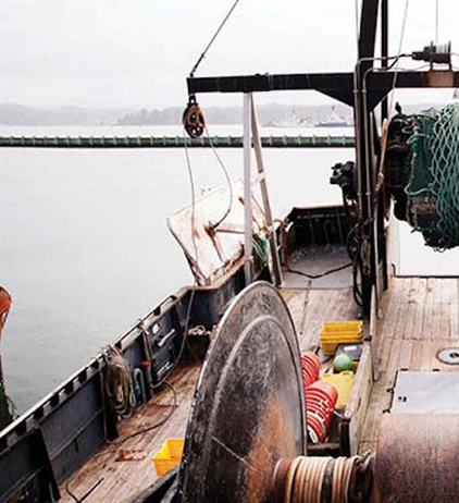 Addressing the ongoing fishing crisis