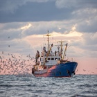 Mobilising funds to end overfishing