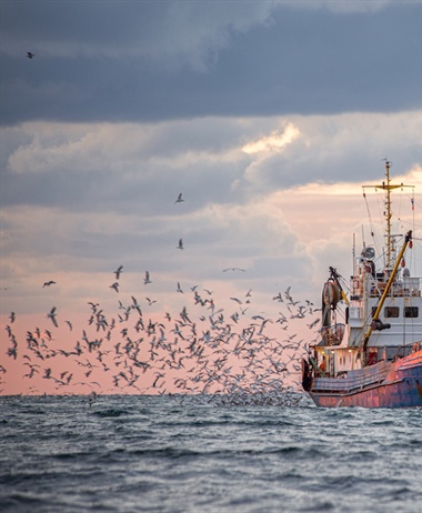 Mobilising funds to end overfishing