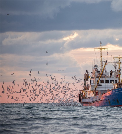 Mobilising funds to end overfishing