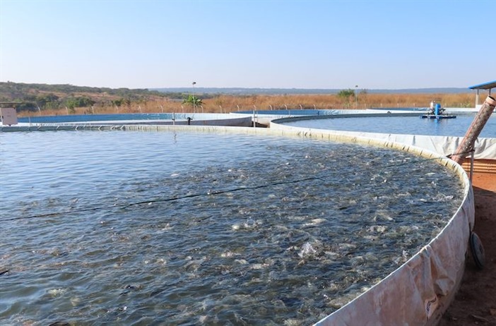 Accelerating aquaculture