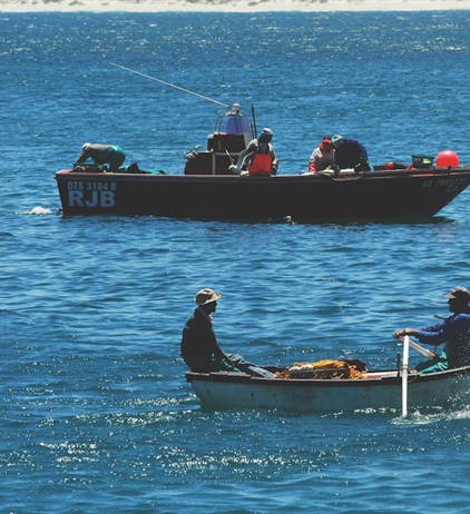 Small scale fishers make the list in the Western Cape